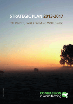 strategic plan 2013-2017 - Compassion in World Farming
