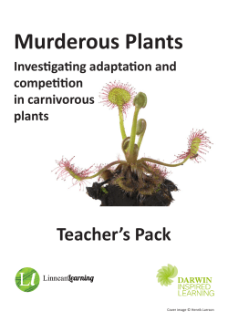 Teacher`s Pack