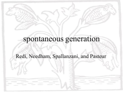 spontaneous generation