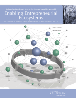 Enabling Entrepreneurial Ecosystems