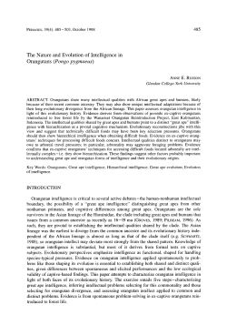 The nature and evolution of intelligence in orangutans ( <Emphasis