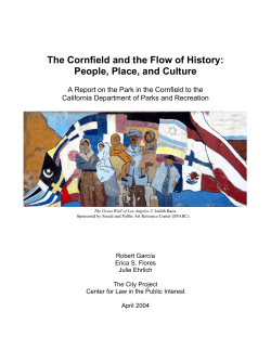 The Cornfield and the Flow of History