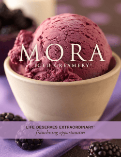 franchise brochure - Mora Iced Creamery