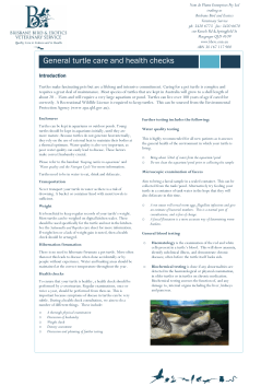 General turtle care and health checks