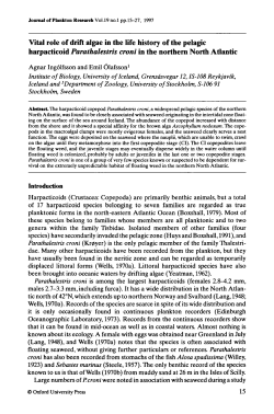 Vital role of drift algae in the life history of the pelagic harpacticoid