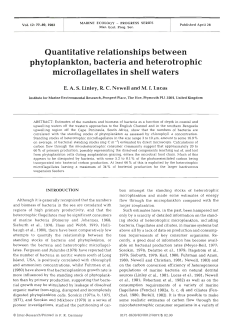 Full text in pdf format