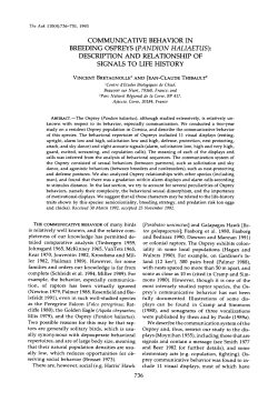 COMMUNICATIVE BEHAVIOR IN BREEDING OSPREYS (PANDION