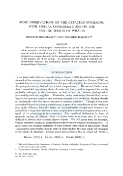 some observations on the cetacean stomachs, with special