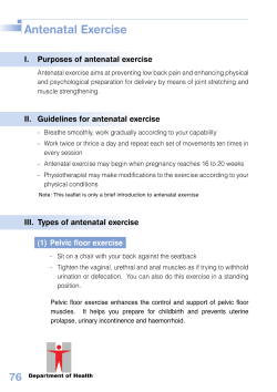 Antenatal Exercise
