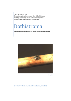 Dothistroma Isolation and molecular identification methods