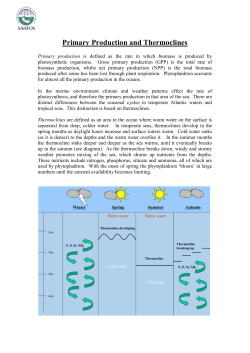 Primary Production and Thermoclines