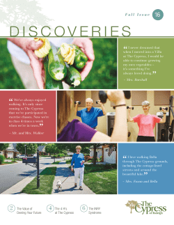 discoveries - The Cypress of Raleigh