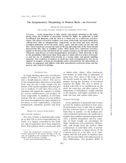 The Integumentary Morphology of Modern Birds&mdash;An Overview1
