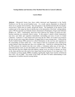 Nesting Habitat and Selection of the Marbled Murrelet in Central