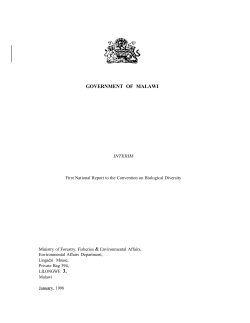 CBD First National Report