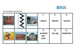 Animal adaptations PDF