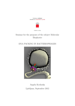 Seminar for the purposes of the subject Molecular Biophysics DNA
