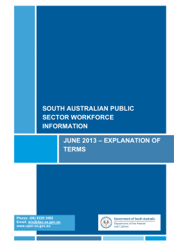 Explanation of terms - Office for the Public Sector