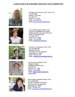 LAMSA EXECUTIVE BOARD AND EXECUTIVE COMMITTEE