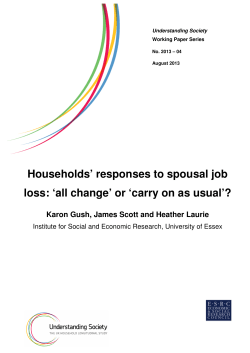 Paper - Understanding Society