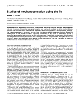 as a PDF
