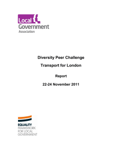 Equality framework for local government
