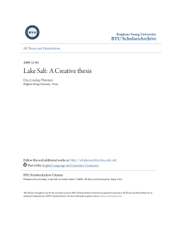 Lake Salt: A Creative thesis - BYU ScholarsArchive