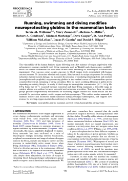 Running, swimming and diving modifies neuroprotecting globins in