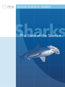 Sharks: The State of the Science