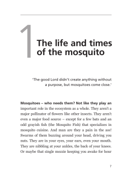 The life and times of the mosquito