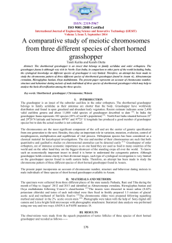 A comparative study of meiotic chromosomes from three different