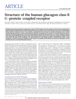 Structure of the human glucagon class B G-protein