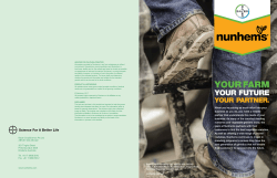 Melon and watermelon catalog