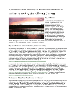 Wetlands and Global Climate Change