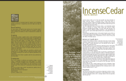 Facts about Incense Cedar