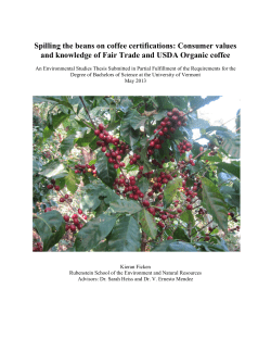 Kieran Ficken 2013 Final Thesis