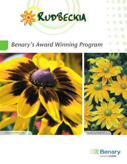 Benary`s Award Winning Program