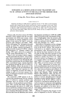 DOPAMINE AS A MODULATOR OF IONIC
