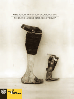 mine action and effective coordination
