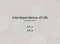 Interdependence of Life