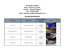 Current Stock List &ndash; USA
