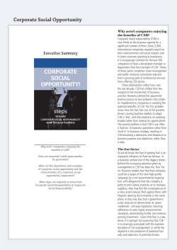 Corporate Social Opportunity: 7 steps to make