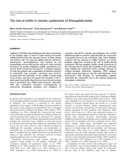 The role of anillin in cytokinesis