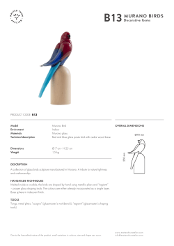 MURANO BIRDS 25 cm 7 cm