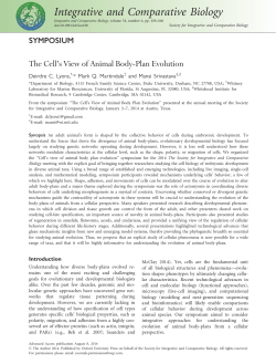 The Cell`s View of Animal Body