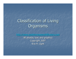 Classification of Living Organisms
