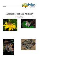 Animals That Use Mimicry - Effingham County Schools
