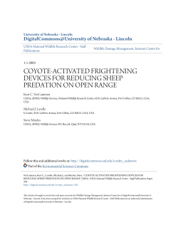 coyote-activated frightening devices for reducing sheep predation