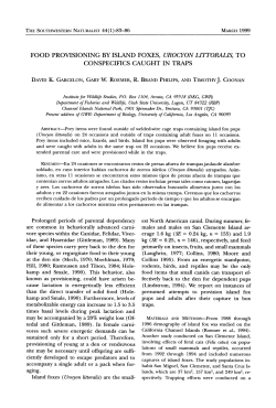 Food Provisioning by Island Foxes, Urocyon Littoralis