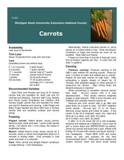 Carrots - Oakland County, Michigan
